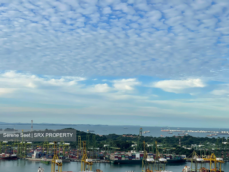 The Pinnacle@Duxton thumbnail photo